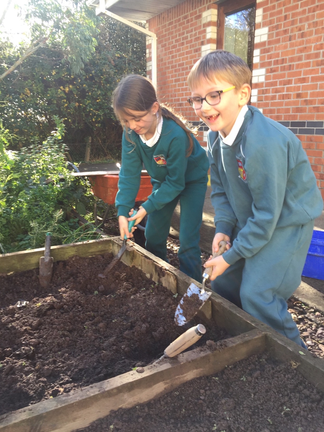 Planting Daffodils!